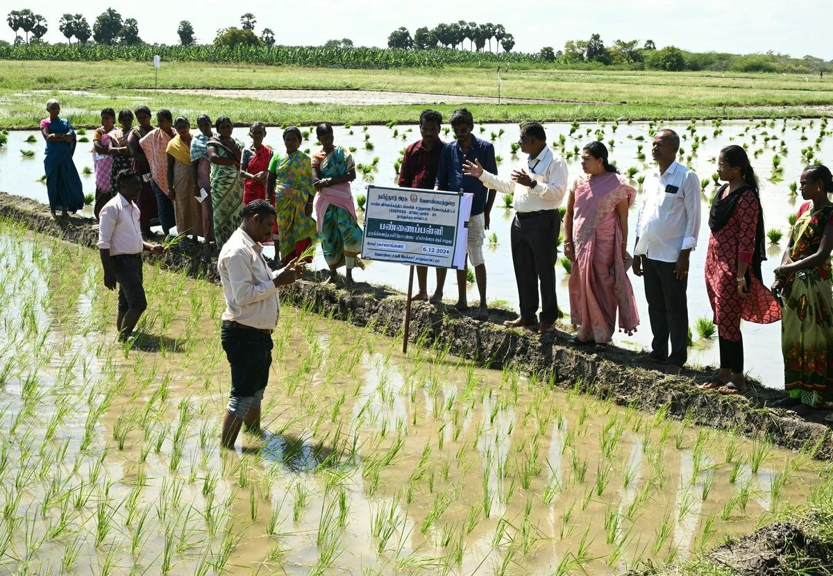 Home Pudukkottai Farmers Included in Wider Agricultural Support Initiatives