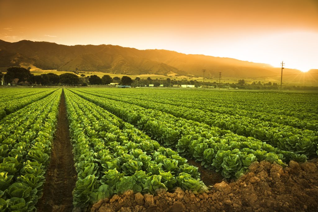 globalagriculture