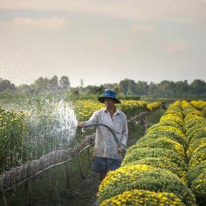 sustainable farming techniques save water copy